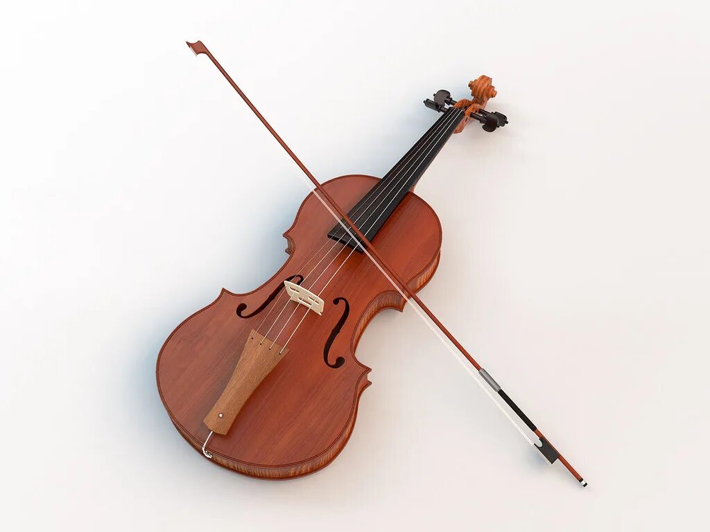 1 скрипку. Скрипка. Смычок для скрипки. Первая скрипка. Муз инструмент скрипка.