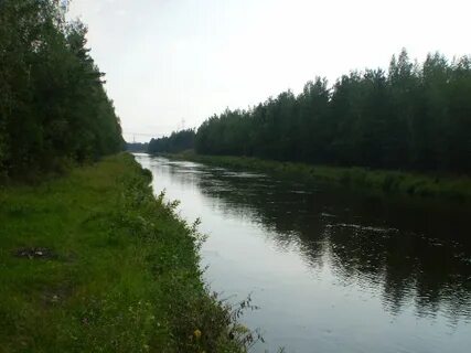 Мошковский конаково
