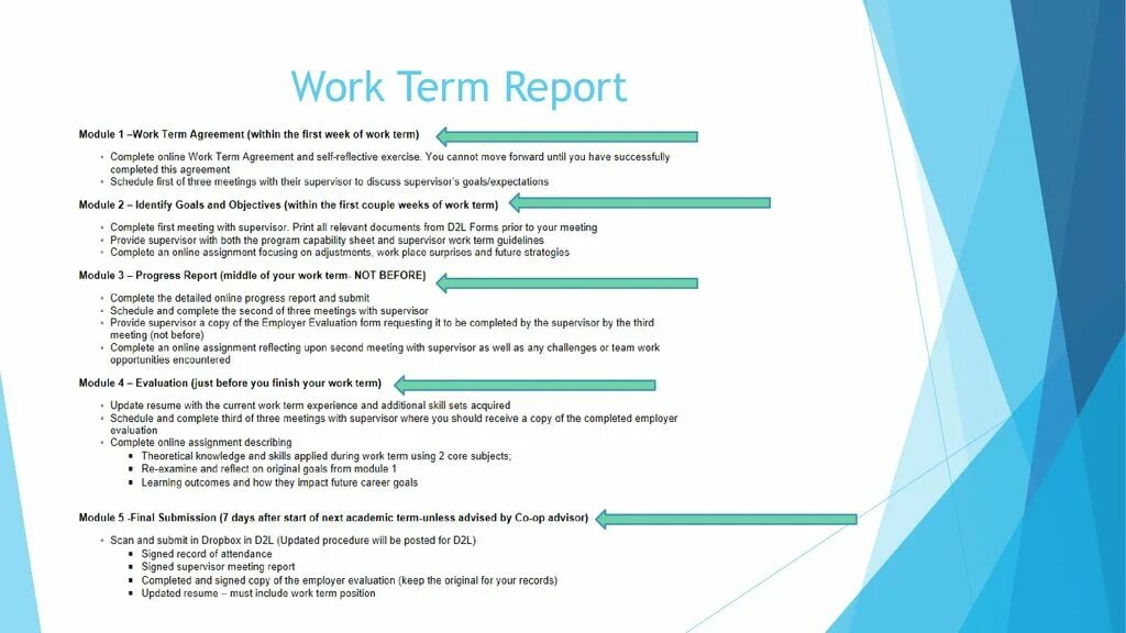 Терм репорт шаблоны. Report. Report on. • Additional skills пример. Working terminal