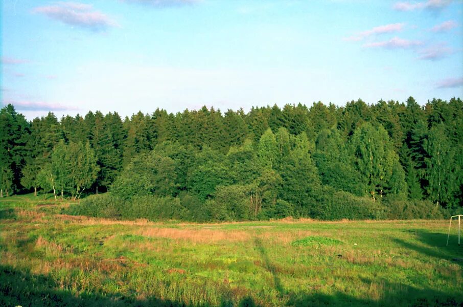 Природный заказник «линдуловская роща». Лесных н б. Смешанный уральский лес опушка. Ельники лесная поляна. Лесных н б.