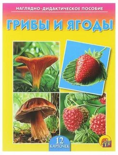 Дидактический наглядный материал для детей