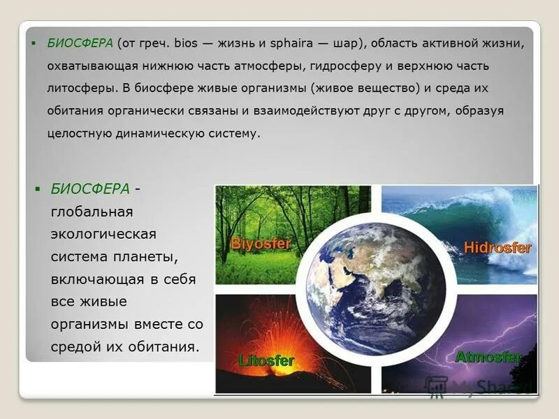 Какая геооболочка полностью охвачена жизнью