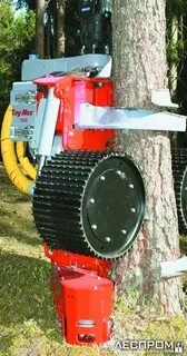 Log size