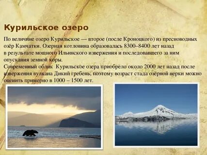 О каком озере идет речь на камчатке