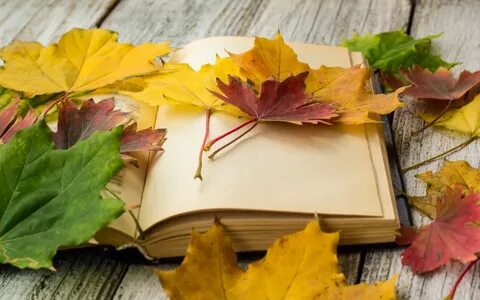 Книга осень