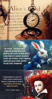 Последнее слово алиса
