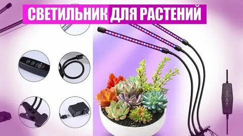 Таймер для лампы для растений
