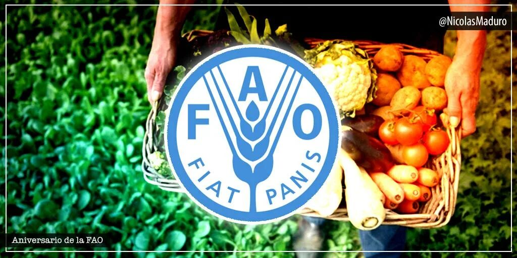 Фао оон. Всемирная организация продовольствия (ФАО). Продовольственная и сельскохозяйственная организация ООН (ФАО ООН). ФАО эмблема. FAO логотип.