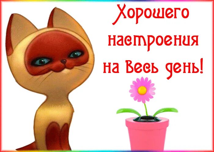 Стикеры хорошего дня и настроения для ватсап. Открытки для поднятия настроения девушке. стикеры хорошего настроения. отличного настроения прикольные. смешные открытки для поднятия настроения.