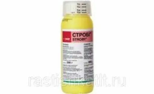 Basf строби отзывы. Строби 2гр. строби 2 г. строби фунгицид фото. строби 0 2 кг в пузырьке.