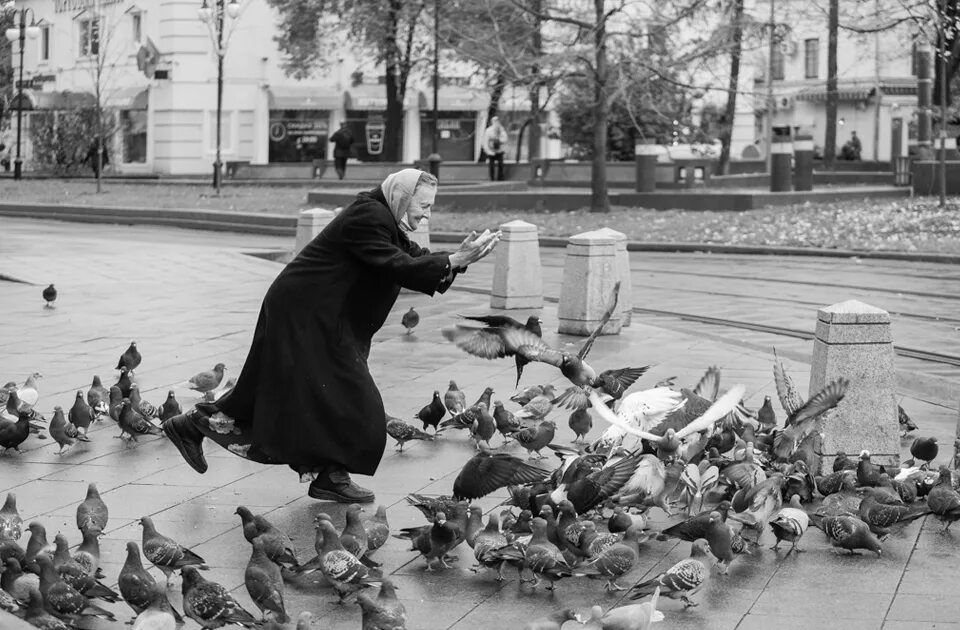 Бабушка с голубями. Бабуля и голуби. Кормить голубей. Старушка и голуби. Тейлор лагранж