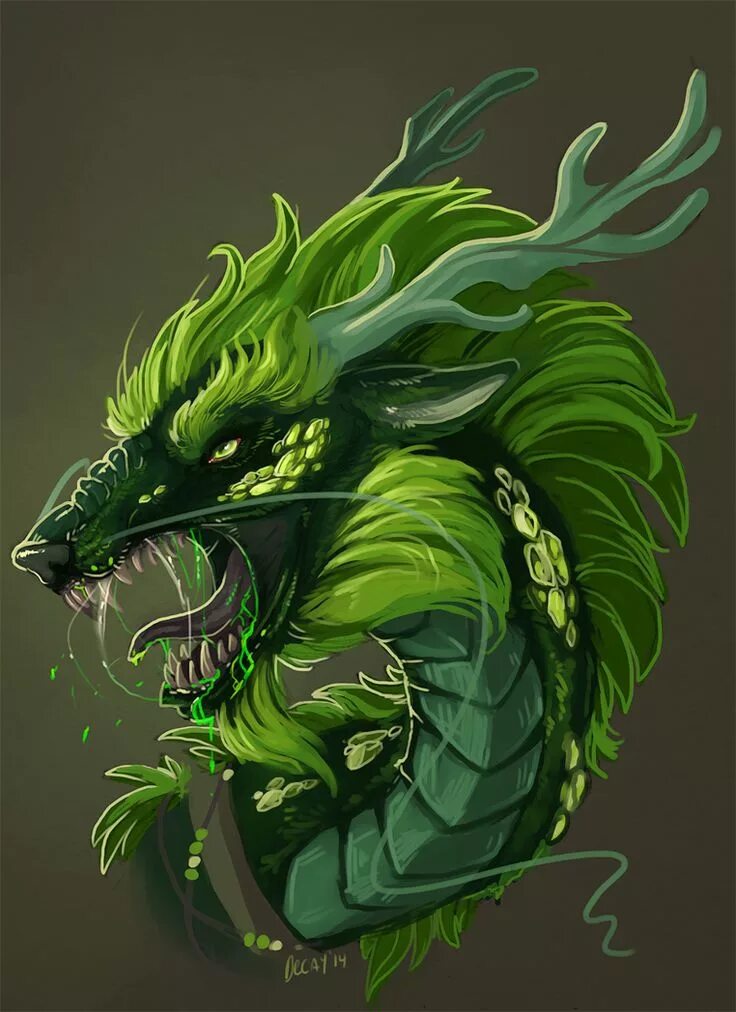 Рисунок зеленого деревянного дракона. Зеленый дракон кугурими. Зелёный дракон Геншина. Ядовитый дракон. Зеленый дракон арт.