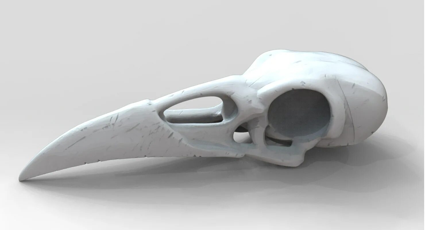 Ворон 3д модель. Череп птицы 3д модель. череп птицы 3d модель. череп ворона 3d модель. череп ворона модель для 3d принтера.