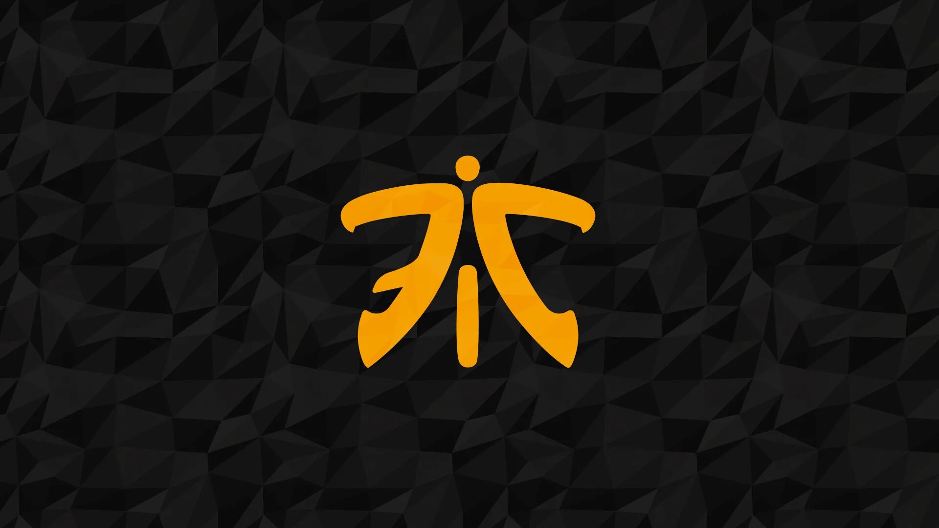 Fnatic cs. Fnatic cs 1.6. fnatic cs go. fnatic cs go 2025. обои на рабочий стол fnatic.