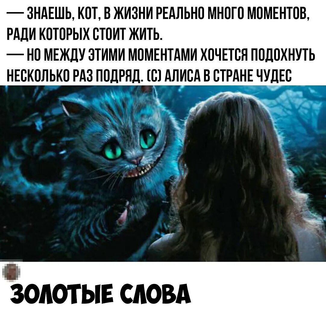 если есть ради чего жить. надо жить. цитаты про сдаться. статусы про беду.
