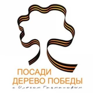 9 мая дерево