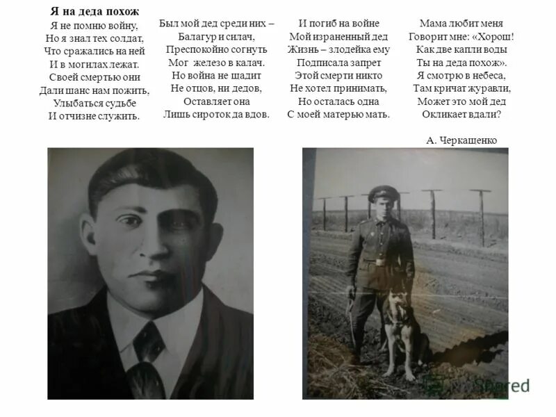 дедушка похож. санта в реальной жизни. дедушка похож. дед похожий на юру. собака похожа на дедаз.