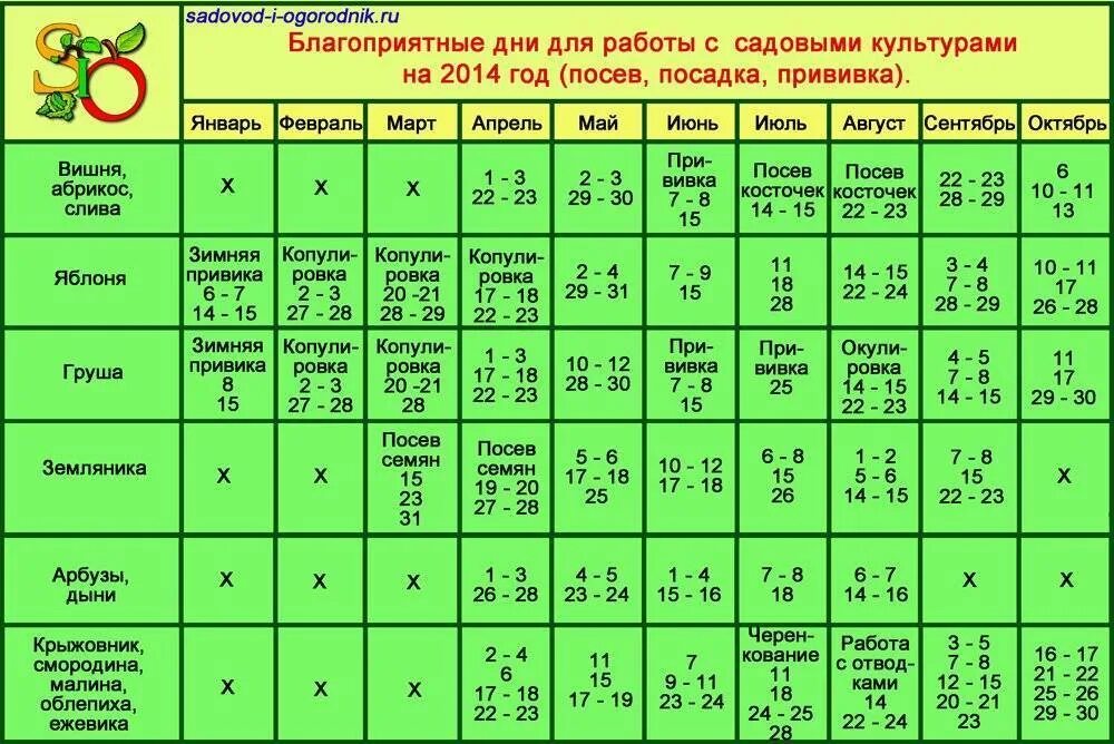 Лунный календарь на 2025г обрезка деревьев. Благоприятные дни для посадки комнатных цветов. благоприятные дни для пересадки комнатных растений. удачные дни для пересадки комнатных растений. лунный календарь для комнатных растений.