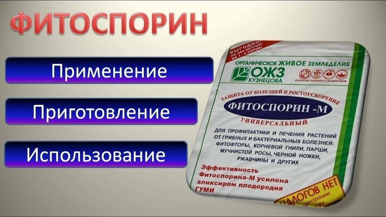 Фитоспорин-м суперрастворимый (паста 100гр)////. Раствор фитоспорина. Фитоспорин универсальный фото. Фитоспорин капуста. Фитоспорин м видео.