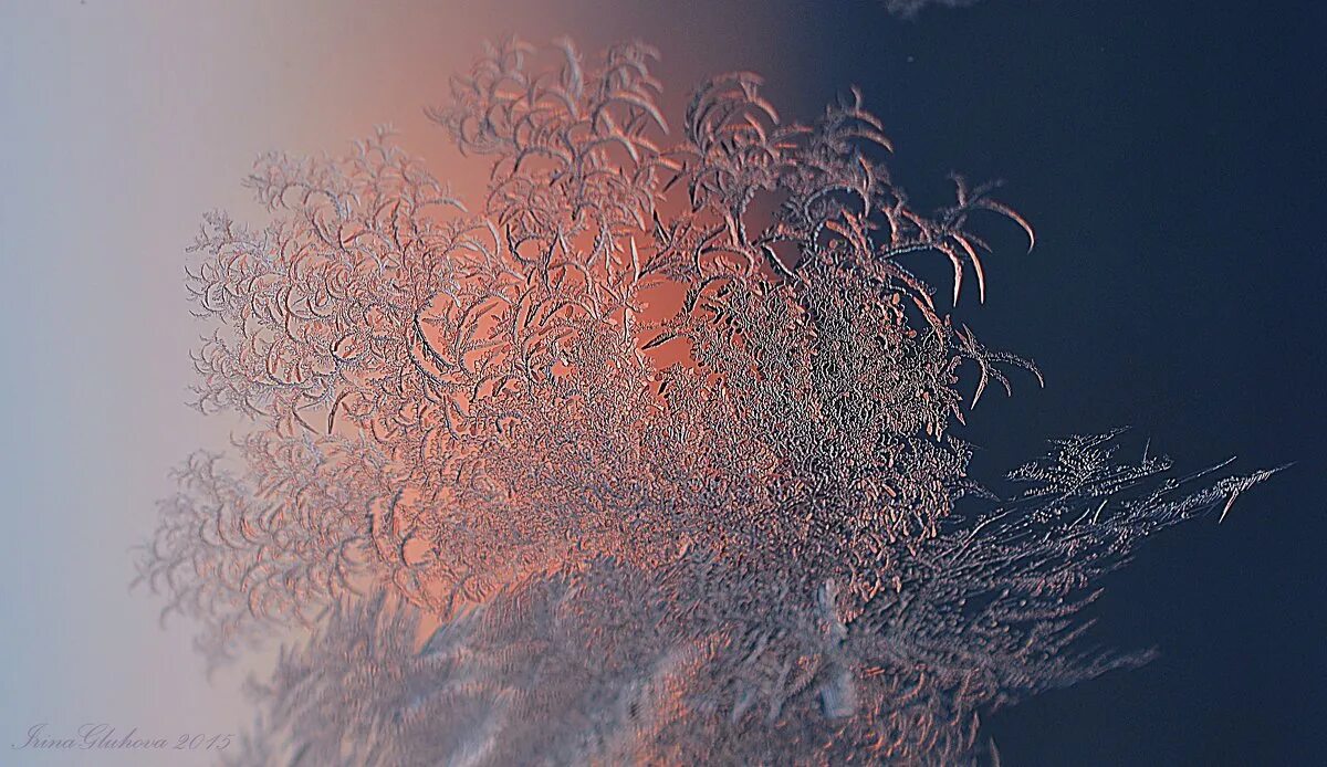 иней на лице. серебристый иней на бороде и ресницах. иней на ресницах фото. морозные узоры.