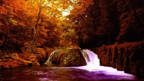 Autumn falls