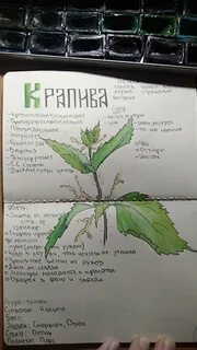 Крапива книги