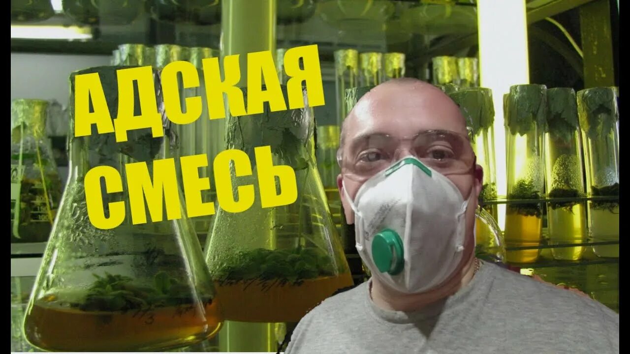 Адовая смесь. Адская смесь против. Адская смесь против. Огород без вредителей. Адская смесь против болезней и вредителей в саду.
