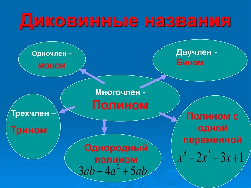 Действия с многочленами. Бином и трином. Многочлен в математике. Трином это в математике.