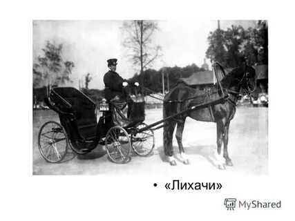 Первых ее видов как