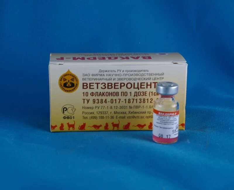 Вакдерм для кошек. Вакдерм вакцина против дерматофитозов животных 1 доза. вакцина вакдерм для кошек. вакцина вакдерм (1 ампула). вакдерм-f вакцина для кошек.