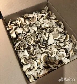 Екатеринбург авито грибы