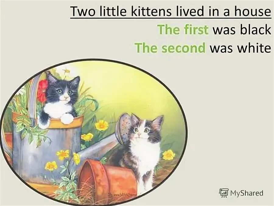 Kitty lived next