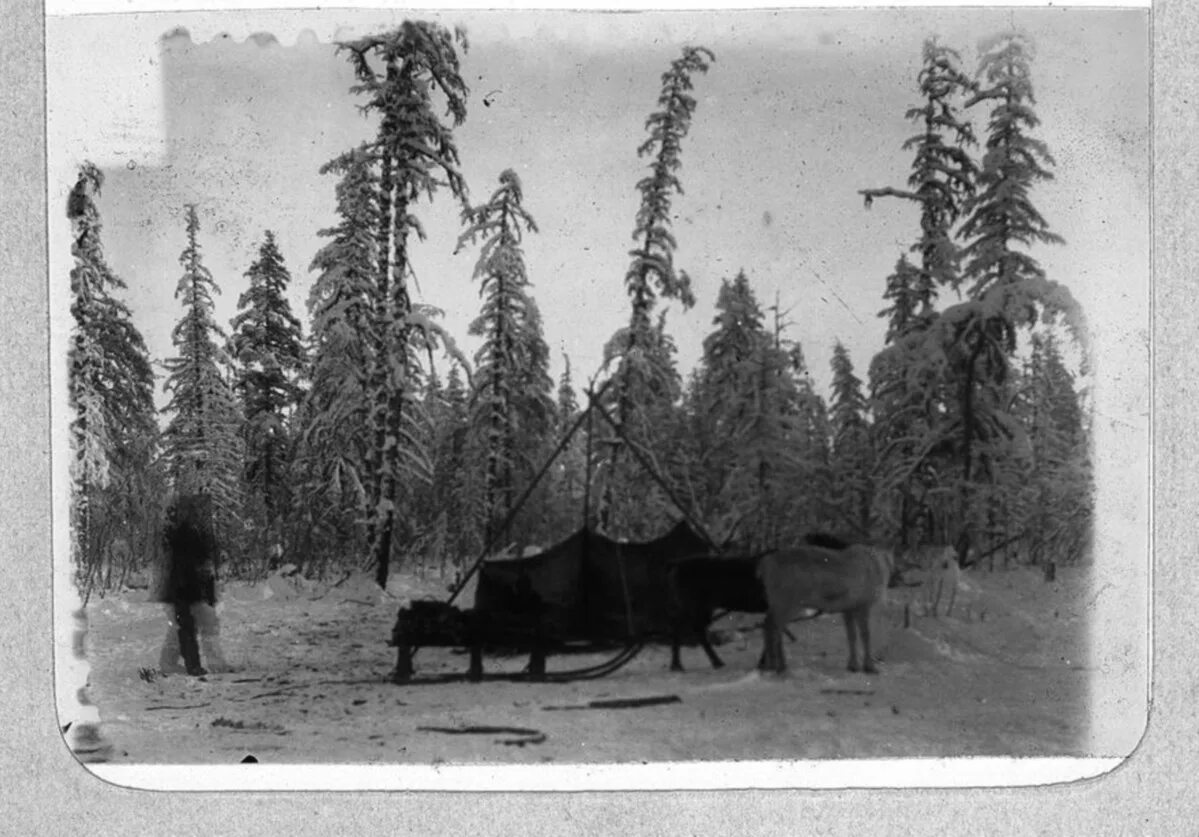 почтовая станция на тракте. московский тракт 19 век. сибирский тракт 19 век. сибирский почтовый тракт. московско-сибирский тракт почтовая станция 19 века.