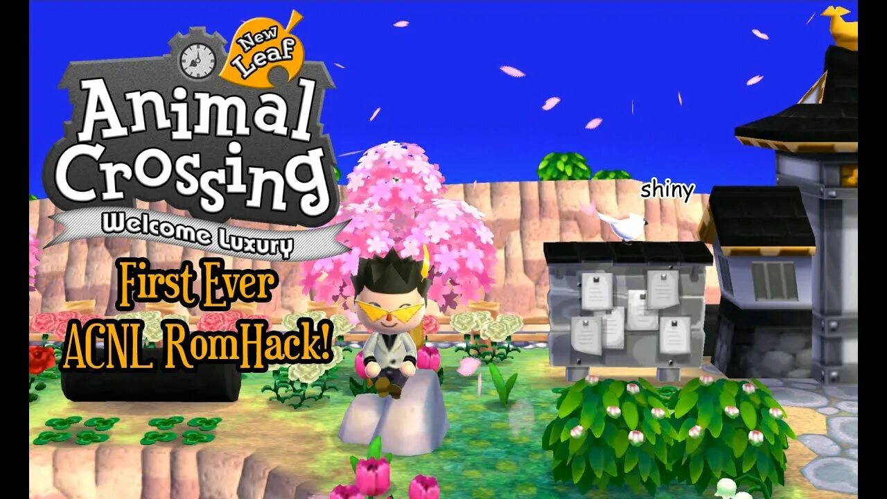 Animal crossing rom