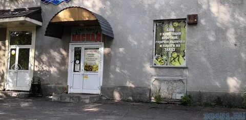 Пчела холл