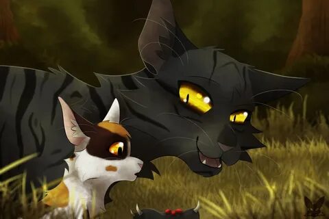 Warrior cats clans