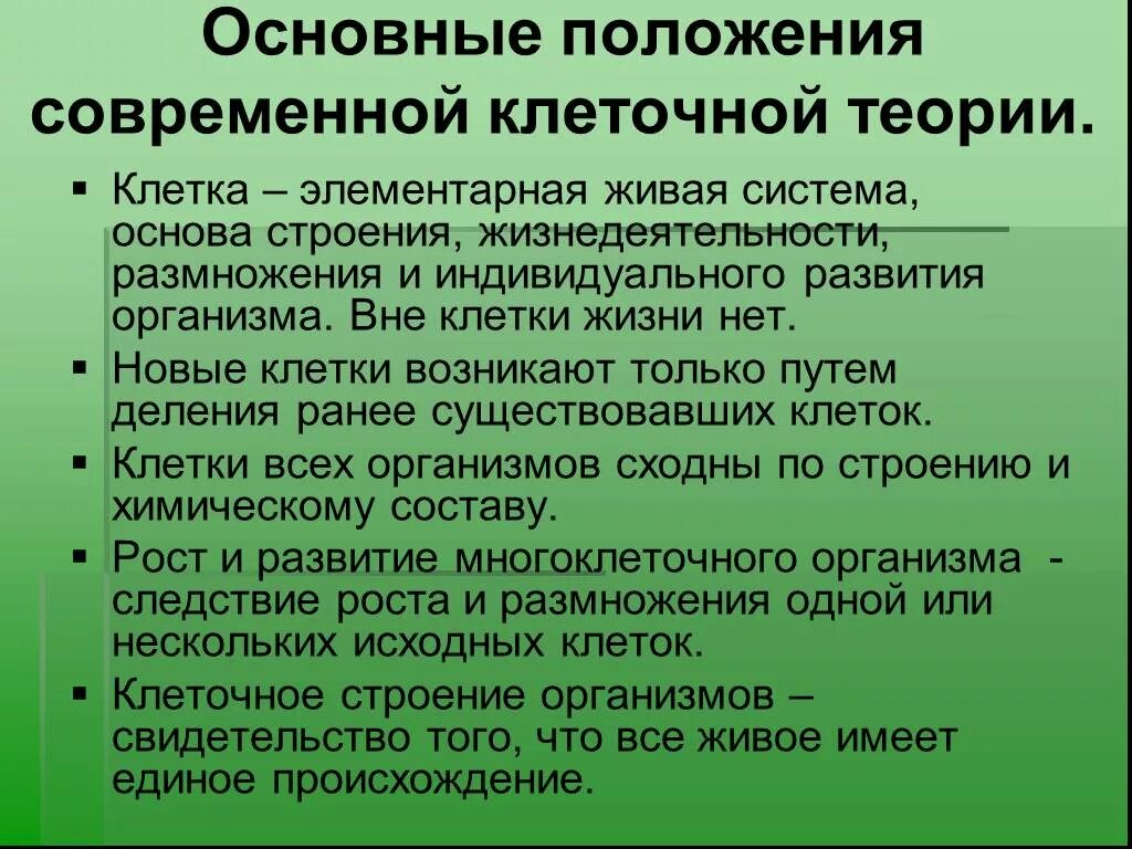 Современная теория строения. Положения современной клеточной теории. Основные положения клеточной теории. 4.Основные положения современной клеточной теории.. Положения первой клеточной теории.