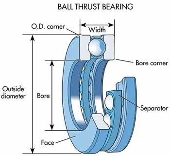Big and bearing