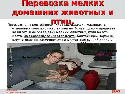 Сколько багажа в поезде