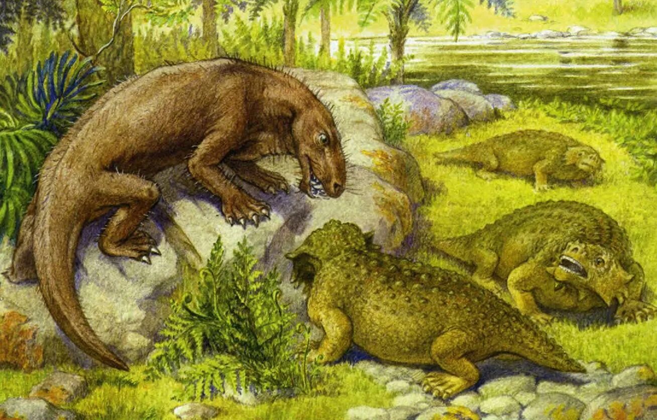 первые пресмыкающиеся появились. древние пресмыкающиеся древние рептилии. амфибии лабиринтодонты. первые пресмыкающиеся. предки пресмыкающихся.