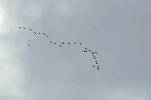 Когда свежий ветерок дохнул с реки москвы