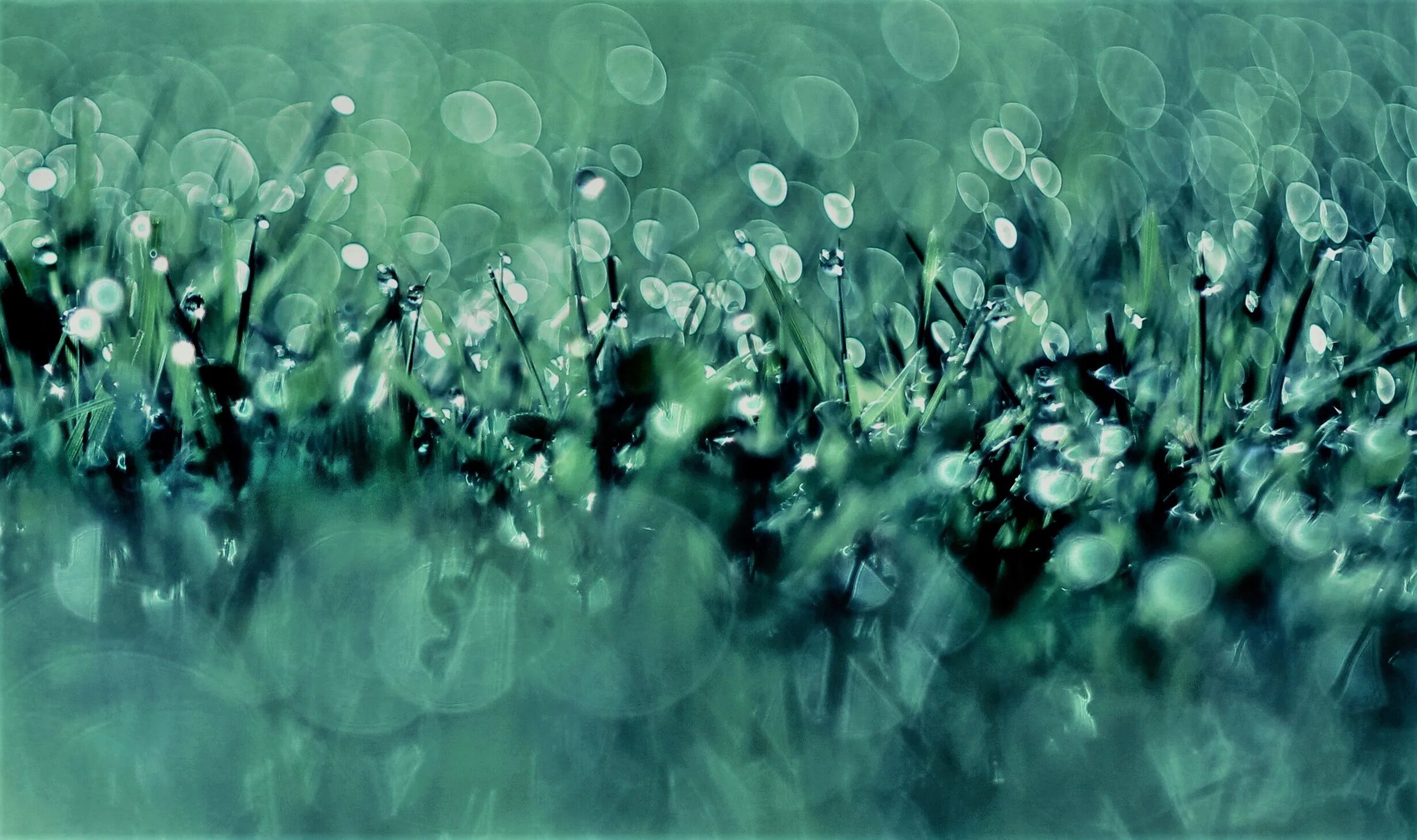 Спорый дождь. Капли дождя. Зеленый дождь. Картинки на рабочий стол свежесть. Дождь на зеленом фоне.