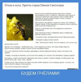 Есть люди пчелы и люди