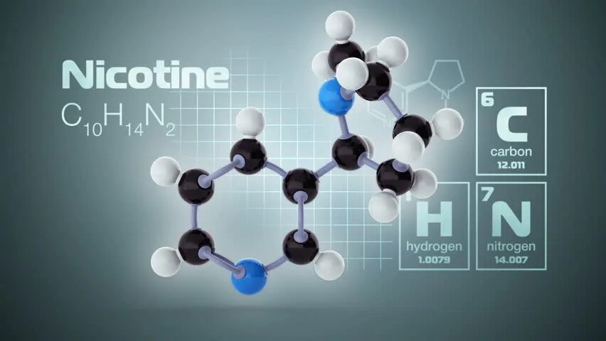 Никотин биохимия. Никотин структурная формула. Формула молекулы никотина. Химическая формула никотина. Никотин химия.