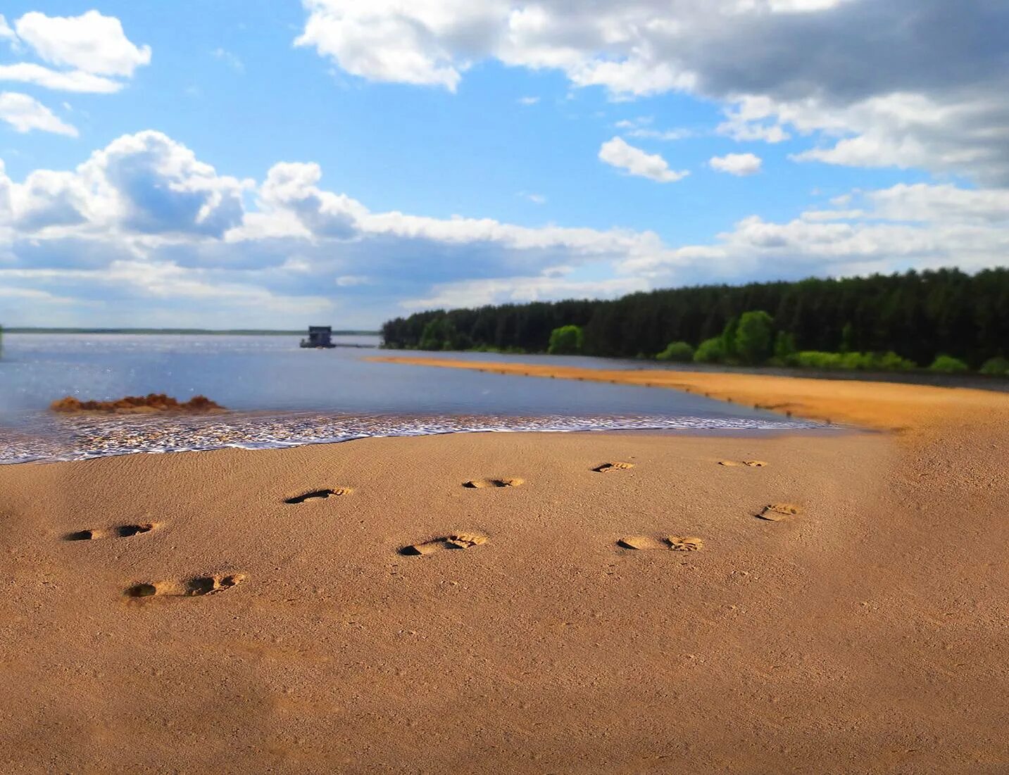 Милюшино рыбинское водохранилище пляж. Милюшино рыбинское водохранилище пляж. Пляж в милюшино рыбинск. Берег рыбинского водохранилища череповец. Милюшино рыбинское водохранилище пляж.