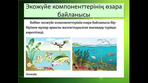 Жаратылыстану 5 сынып 2 сабақ
