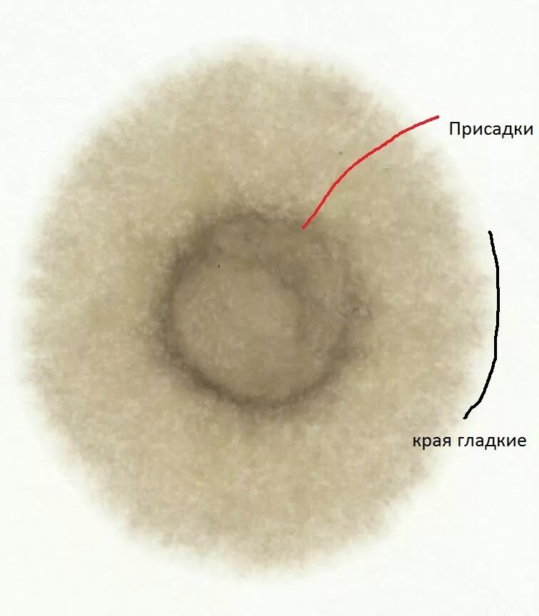 Как проверить качество моторного масла. Капельный метод проверки моторного масла. Капельный тест масла на бумаге бензин моторного масла. Капельный тест. Тест масла по капле на бумаге.