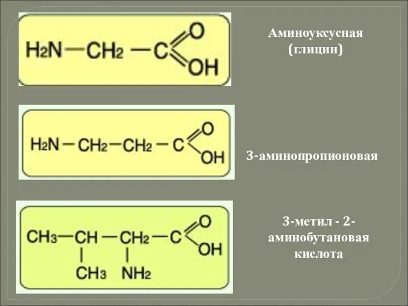 2 Метил 2 аминопропионовая кислота. Аминоуксусная кислота и аминобутановая кислота. 2 Амино пропионовая кислота. Аминно уксусная кислота. Аминопропионовая кислота формула