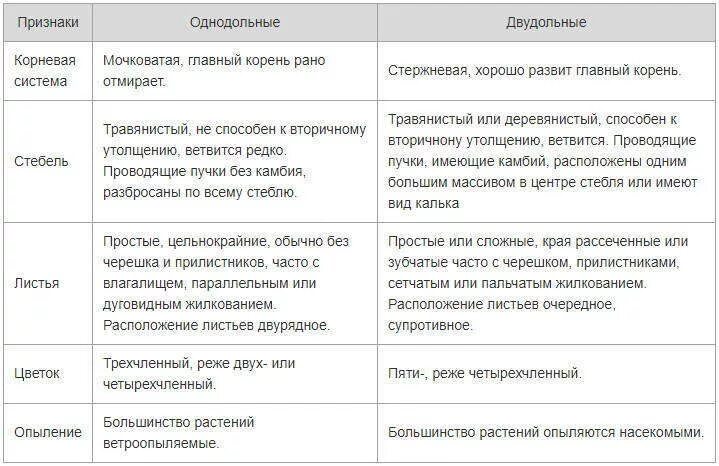 Различие классов однодольные и двудольные. Сравнительная таблица "признаки однодольных и двудольных растений. Отличия однодольных и двудольных растений таблица. Однодольные и двудольные таблица сравнения 6 класс. Классы однодольных и двудольных растений таблица.