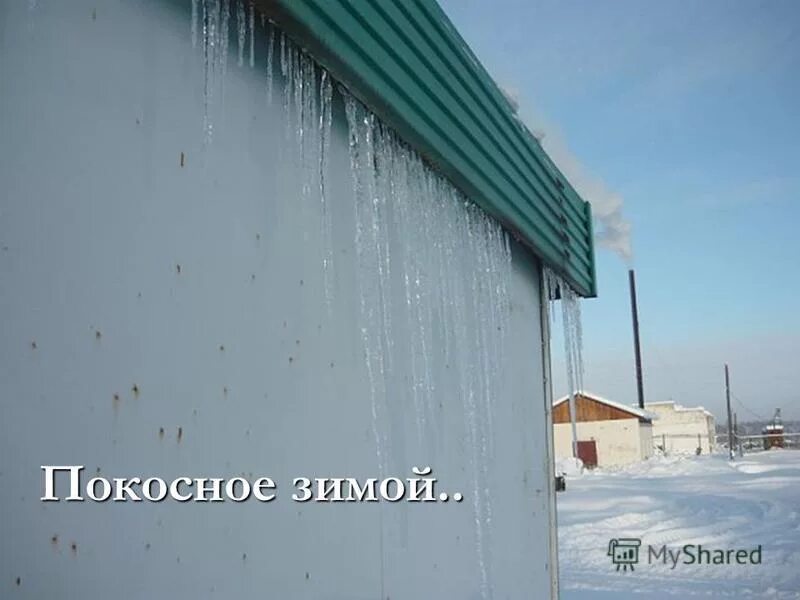 Погода покосное братский район. Село Покосное Братского района. Село Покосное Братского района Иркутской области. Деревня Покосное. Школа Покосное фото.